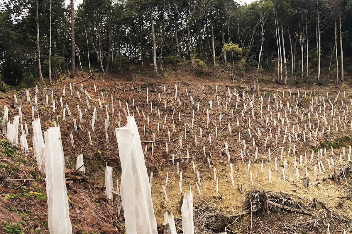 山城町瀬貝_実績5:動物被害防除