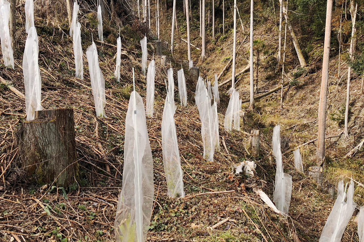 山城町瀬貝_実績5:動物被害防除