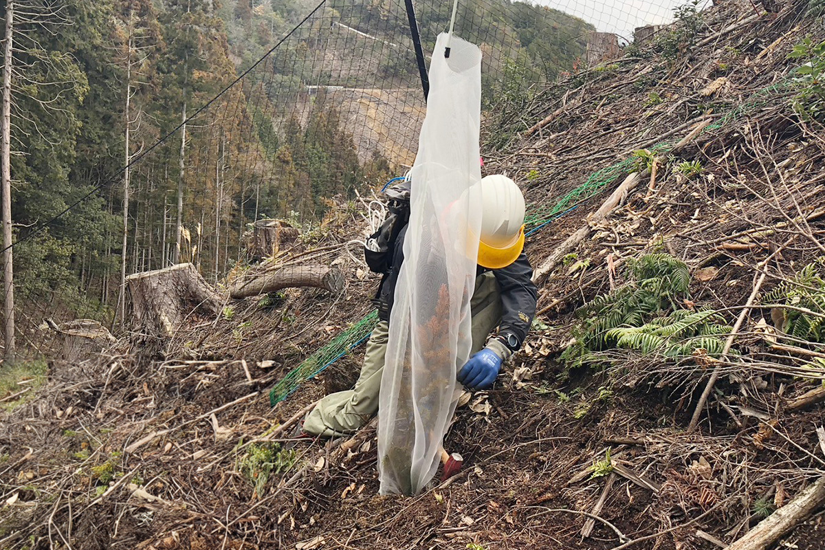 山城町瀬貝_実績5:動物被害防除