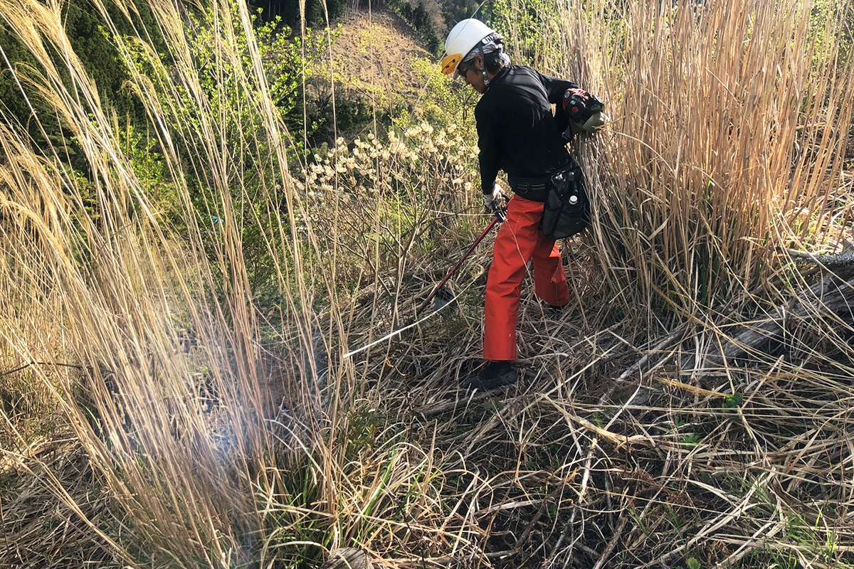 三好東部田内_実績2:下刈・地拵え作業