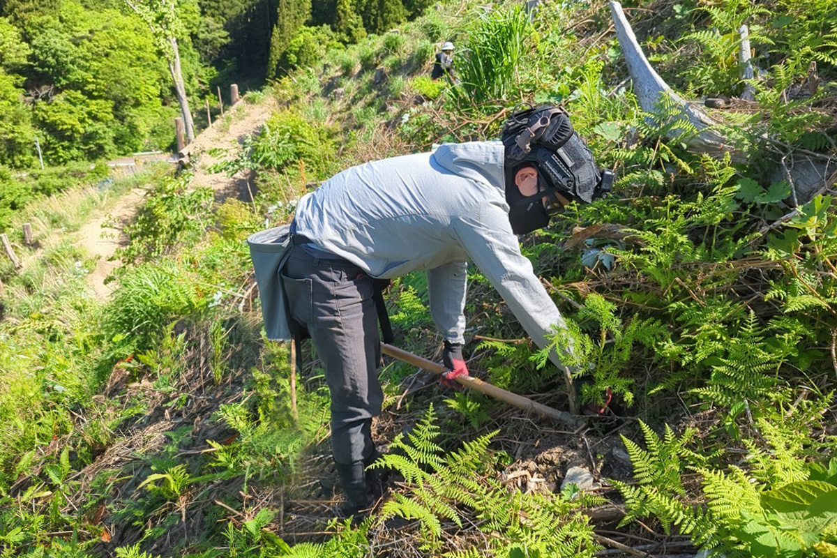 三好東部田内_実績3:植栽