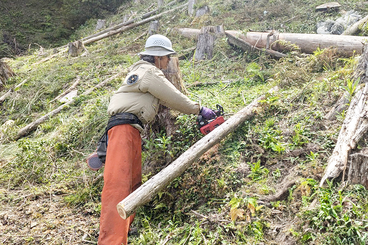 井川_実績2:地拵え作業