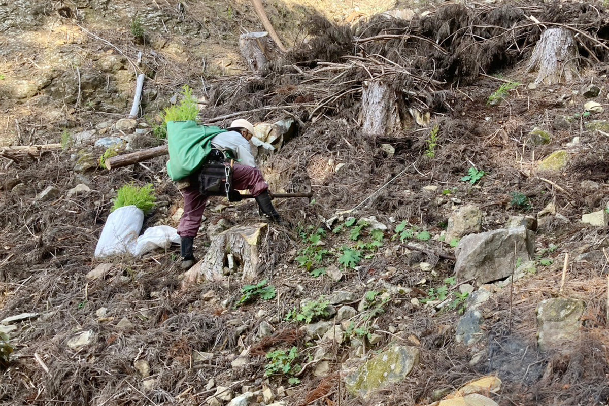 杉山_実績2:植栽