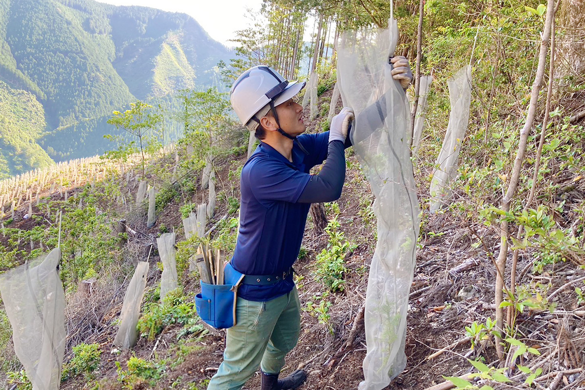 槙尾廻１_実績3:動物被害防除