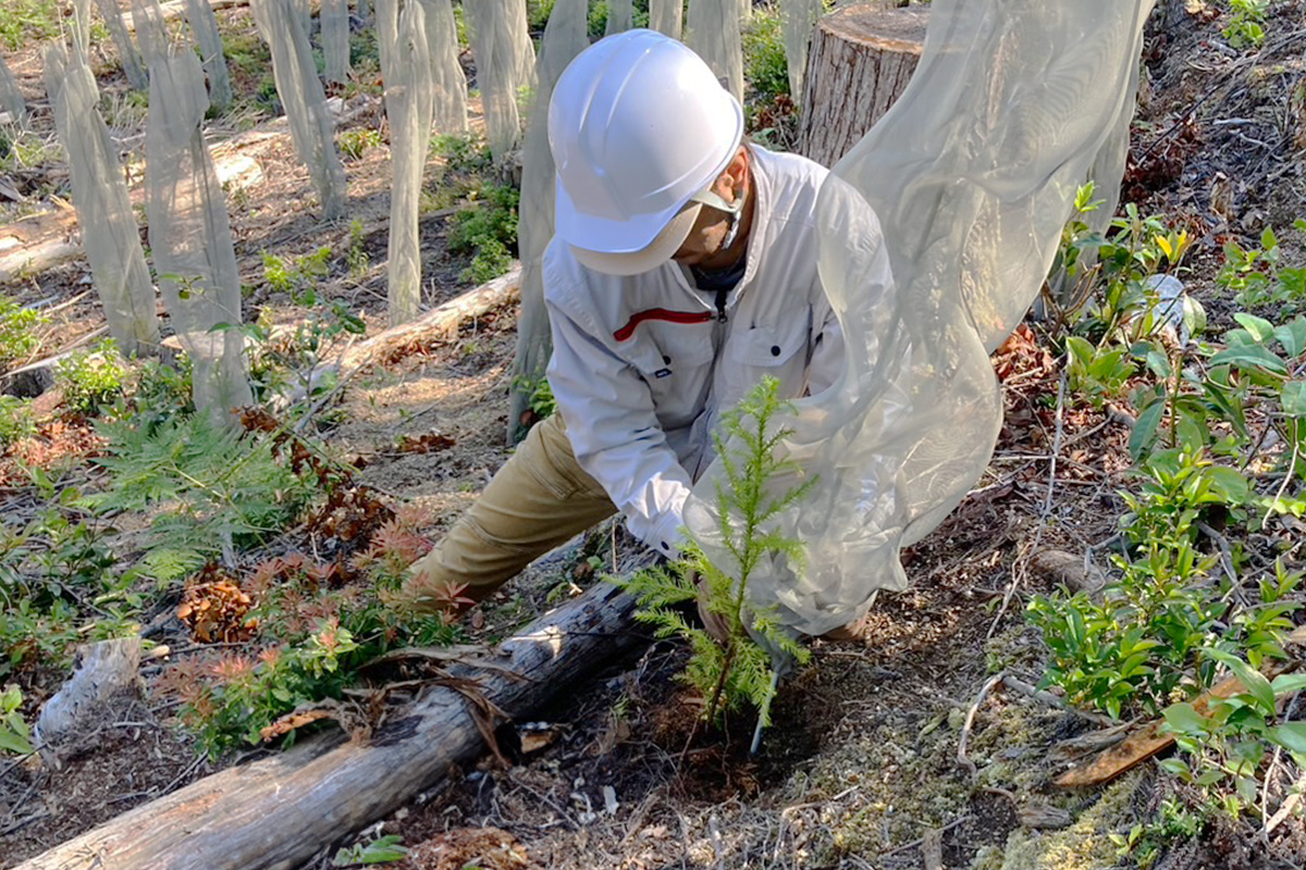 槙尾廻2_実績1:植栽
