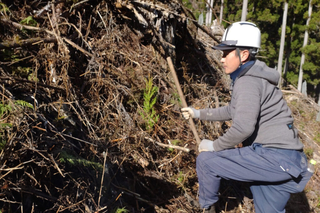 槙尾廻3_実績2:地拵え・植栽