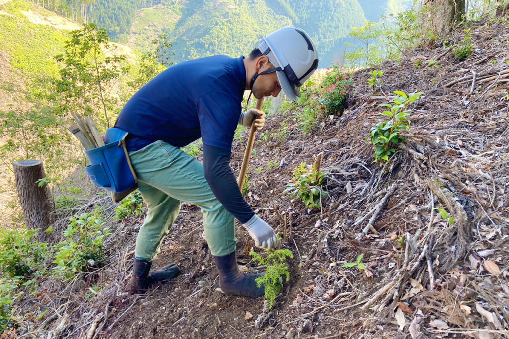 槙尾廻１_実績2:地拵え・植栽