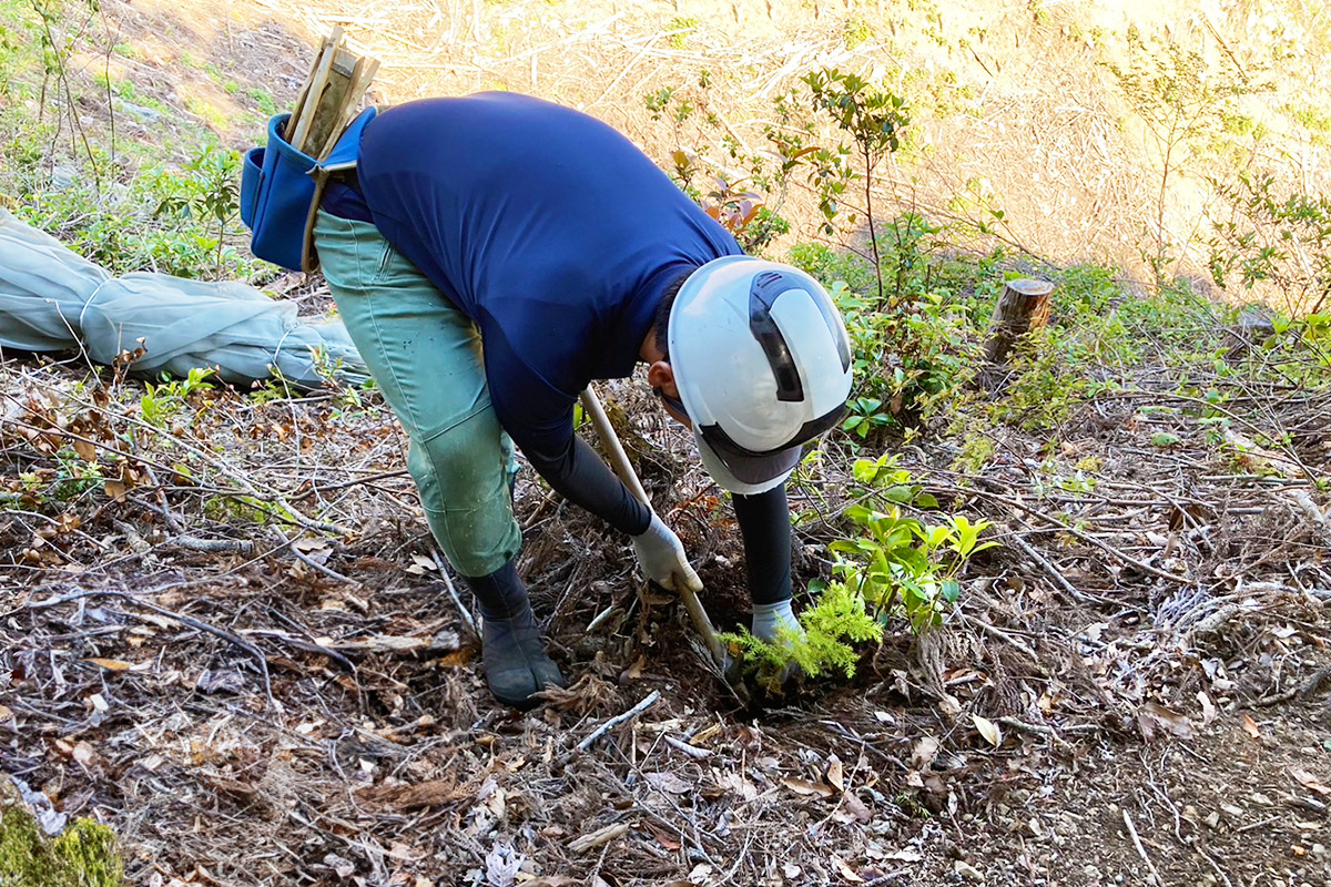 槙尾廻１_実績2:地拵え・植栽