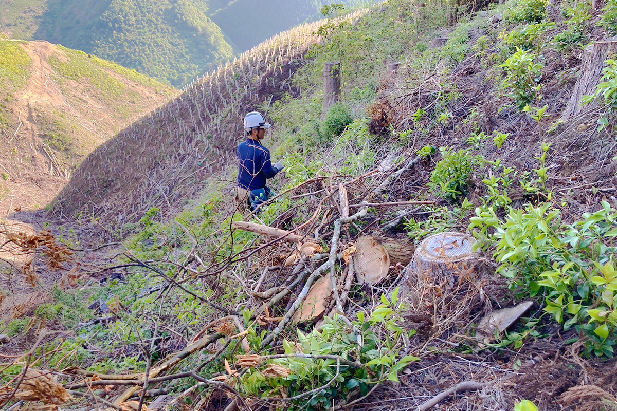 槙尾廻１_実績2:地拵え・植栽