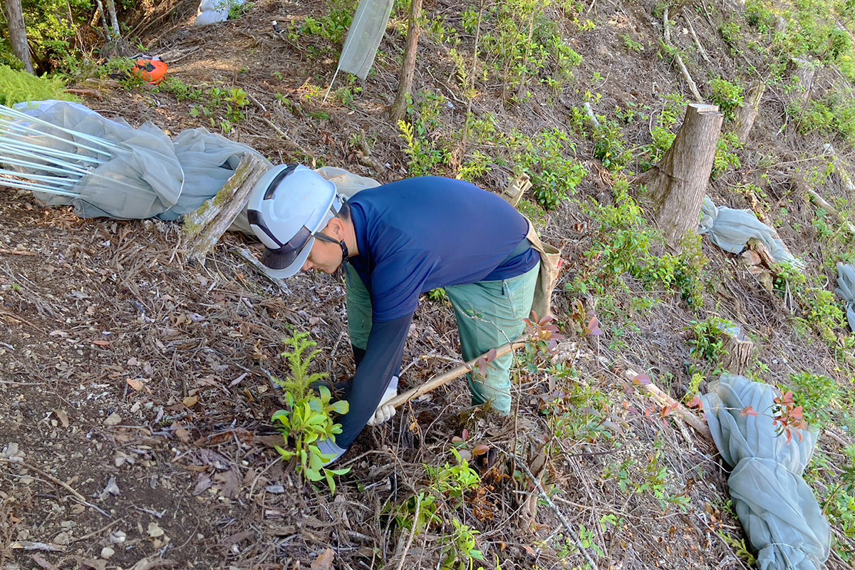 槙尾廻１_実績2:地拵え・植栽