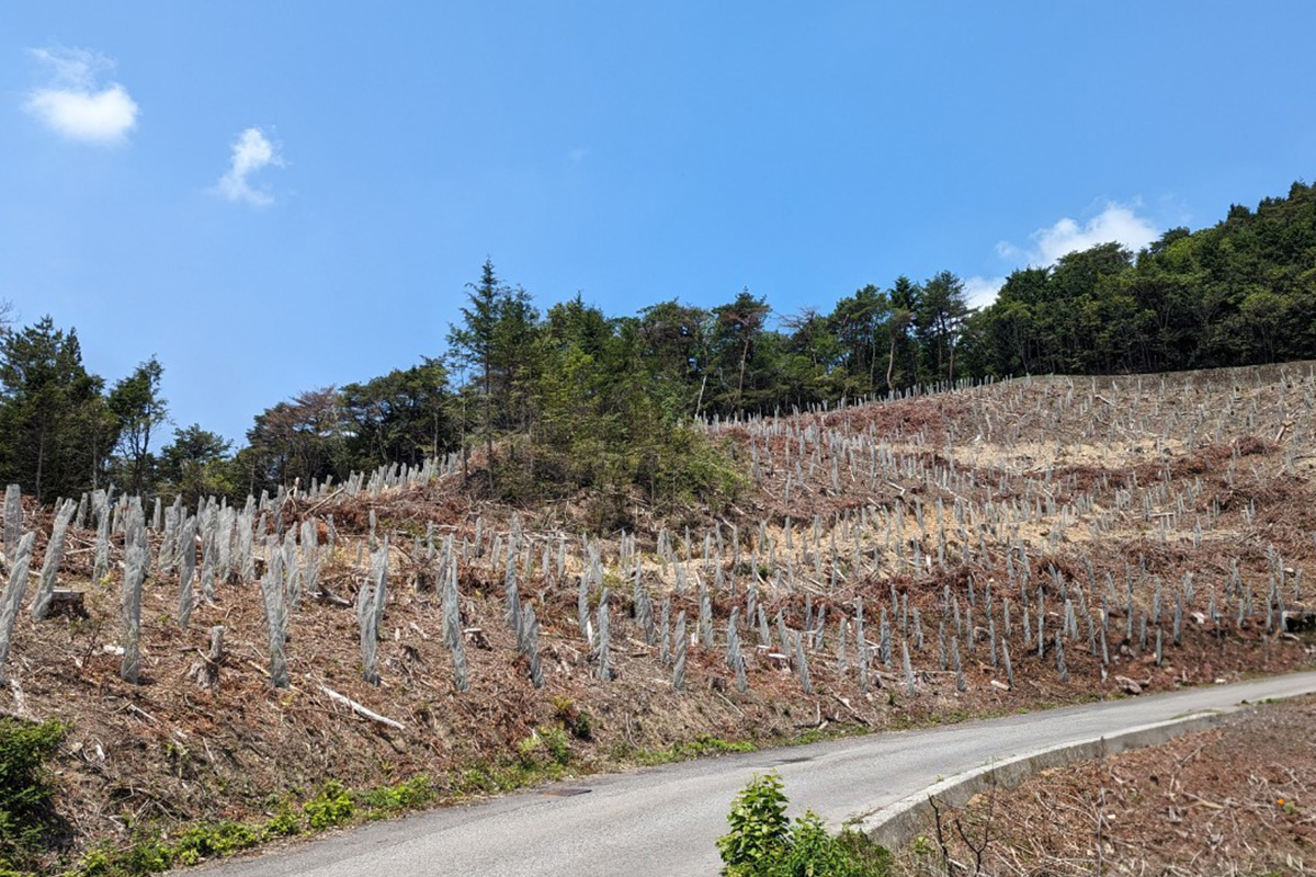 池田町西山_実績4:動物被害防除
