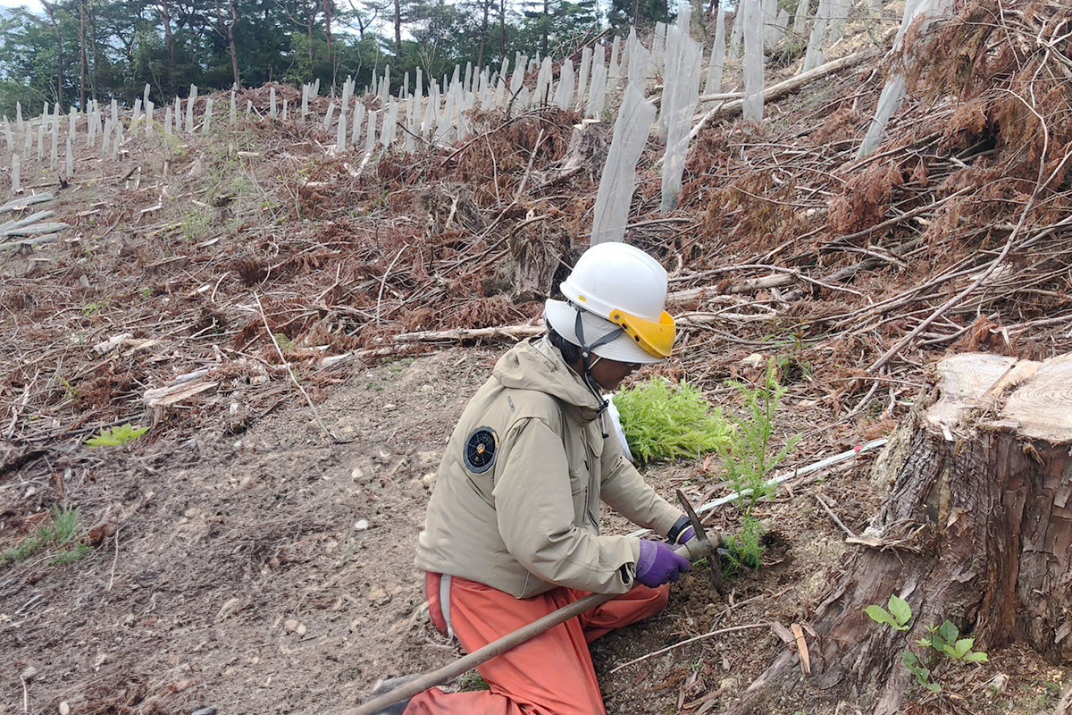 池田町西山_実績3:植栽