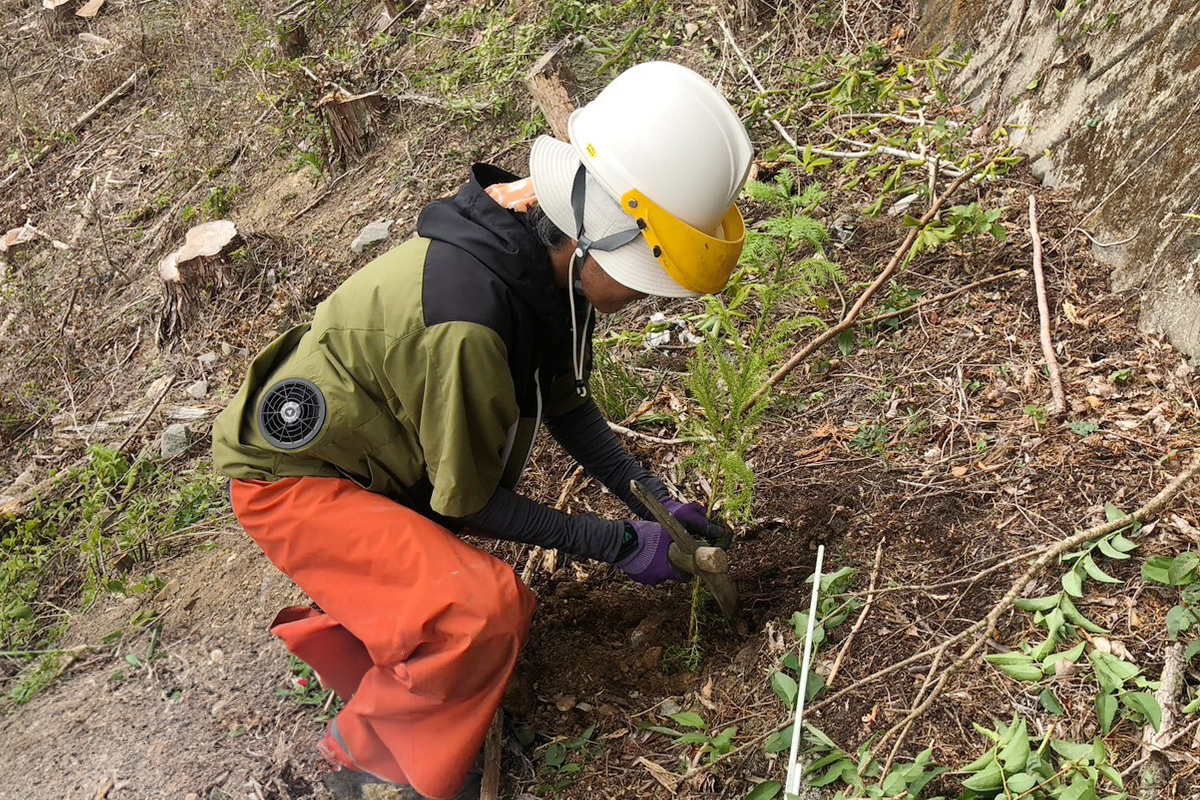 池田町西山_実績3:植栽